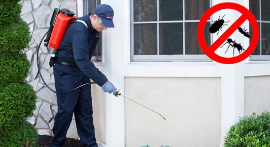 Konak Hamam Böceği İlaçlama böcek ilaçlama ve haşere kontrolü — ilaclama-tr.com